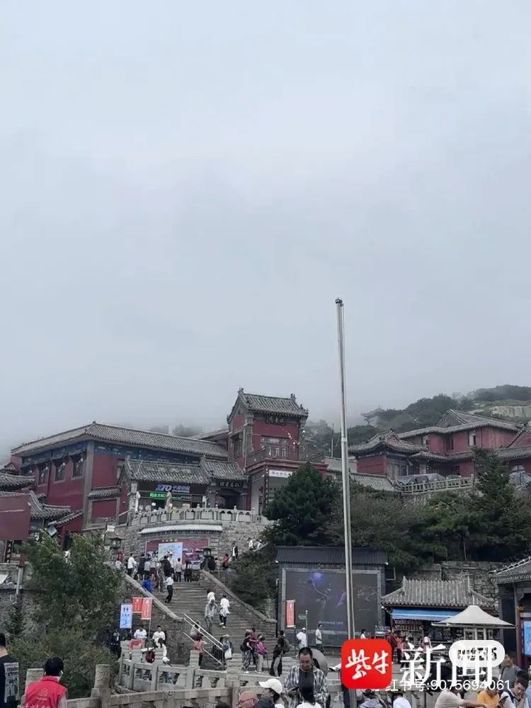 订单排到深秋！兼职“泰山陪爬”的大学生：不是导游，我们一对一服务