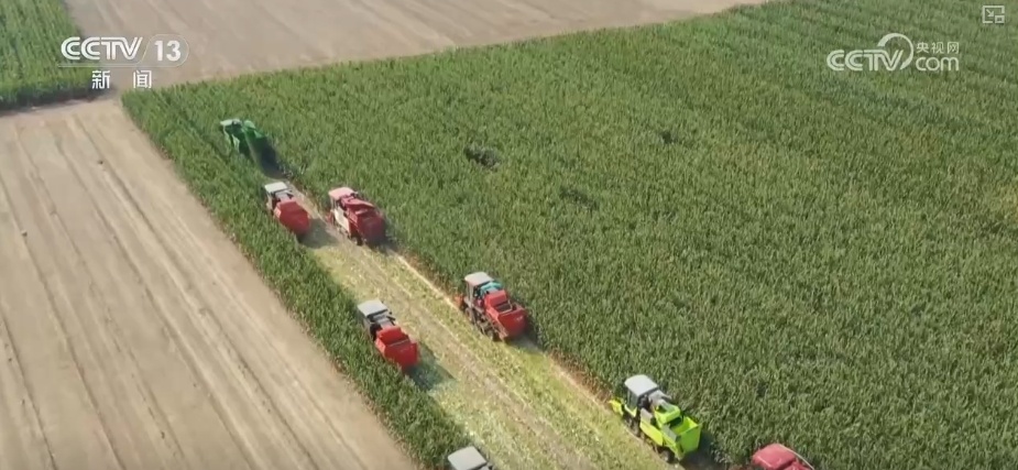 农业实现“隔空把脉” 科技赋能绘就好“丰”景