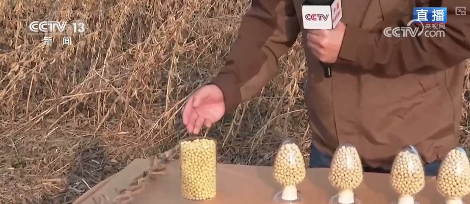 农业实现“隔空把脉” 科技赋能绘就好“丰”景