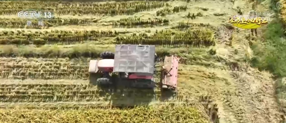 农业实现“隔空把脉” 科技赋能绘就好“丰”景