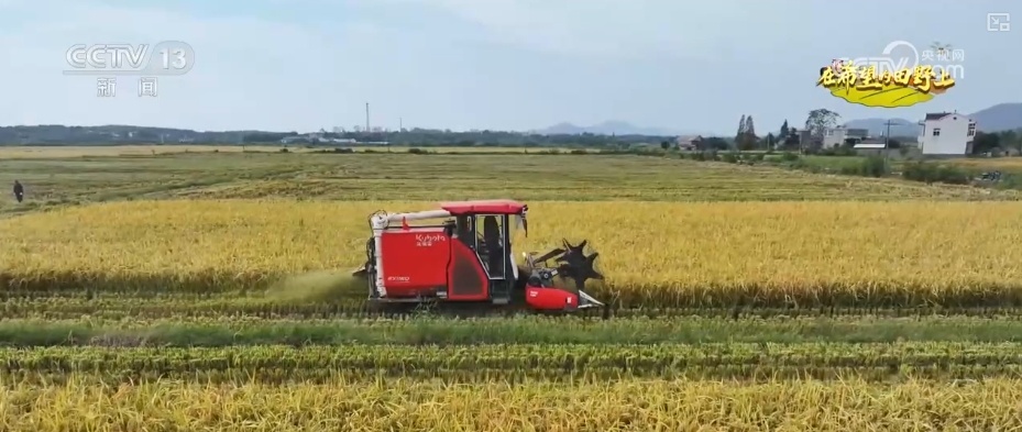 农业实现“隔空把脉” 科技赋能绘就好“丰”景