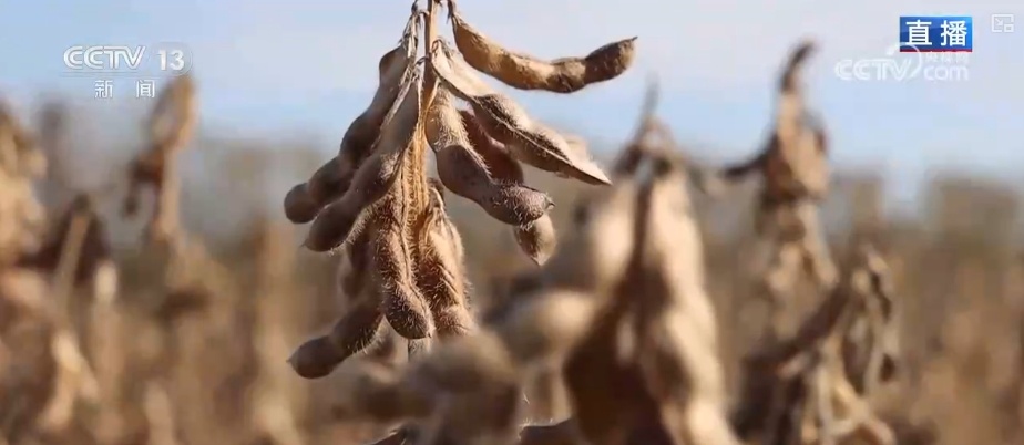 农业实现“隔空把脉” 科技赋能绘就好“丰”景