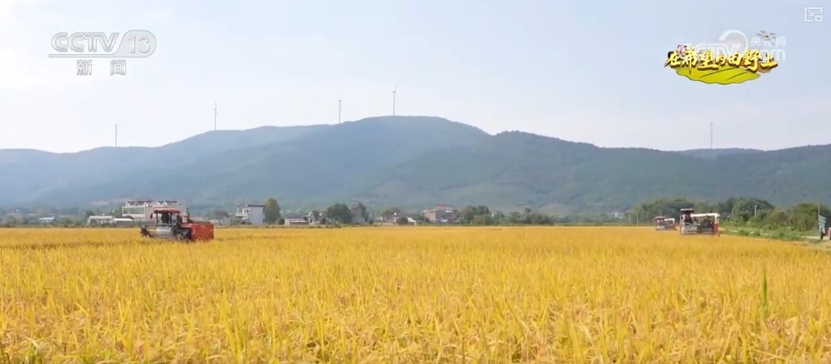 农业实现“隔空把脉” 科技赋能绘就好“丰”景