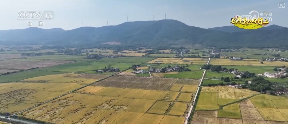 农业实现“隔空把脉” 科技赋能绘就好“丰”景