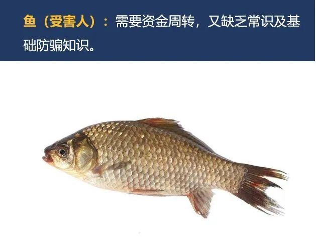 警惕“杀鱼盘”!警方最新提醒 警惕“杀鱼盘”!警方最新提醒