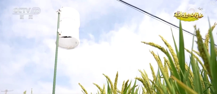农业实现“隔空把脉” 科技赋能绘就好“丰”景