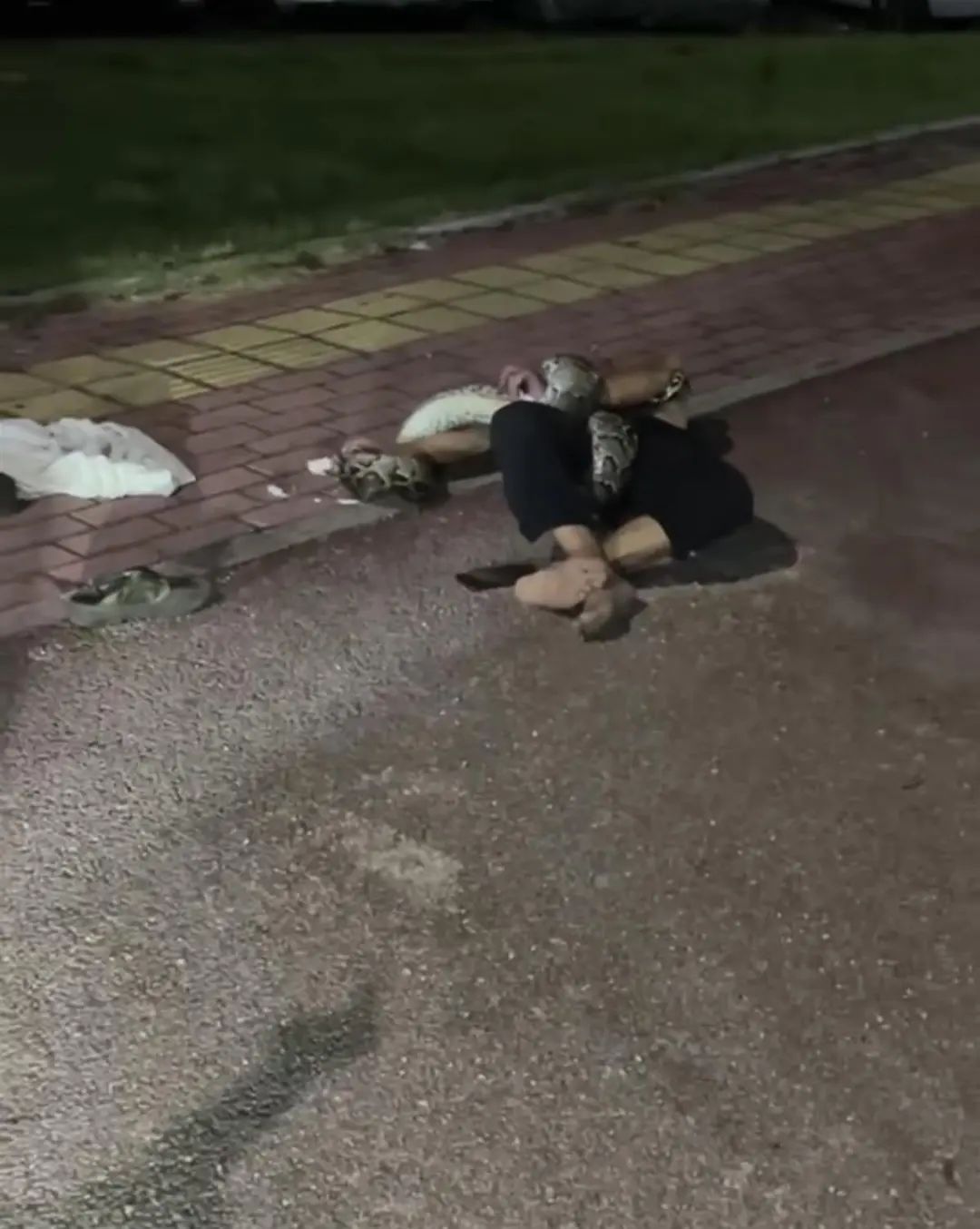 一男子酒后被近2米长蟒蛇缠住倒地!消防:人已获救 一男子酒后被近2米长蟒蛇缠住倒地!消防:人已获救