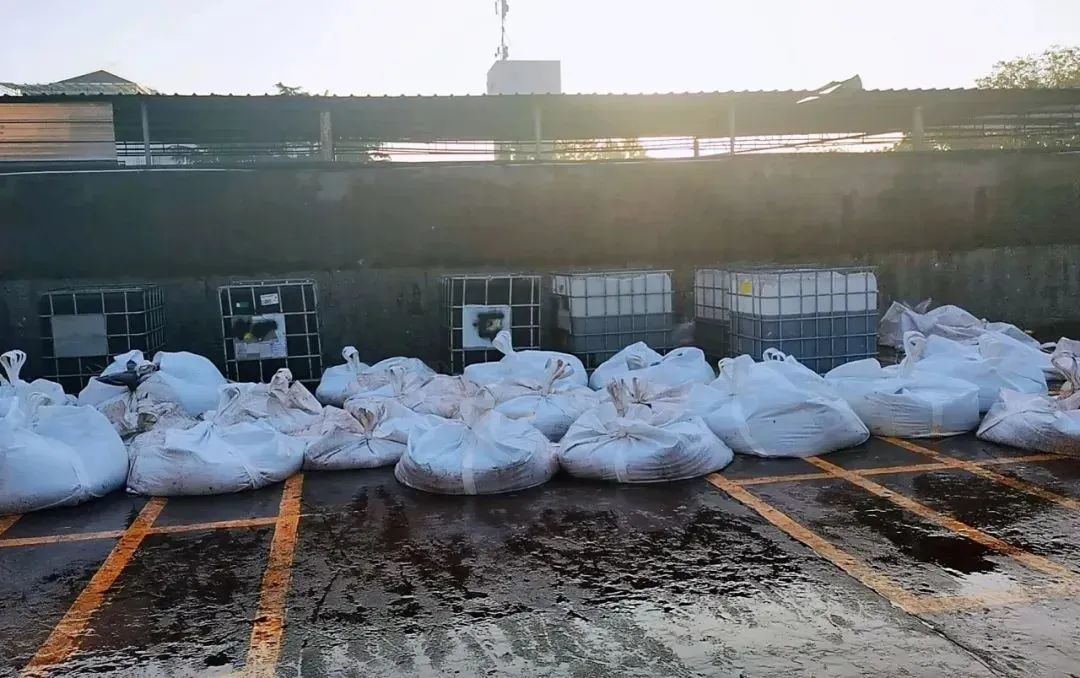 9天抓了103吨，海蜇“入侵”上海！