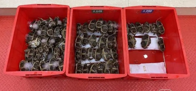 连吃7只，男子被送进ICU！杭州正大量上市，医生：再鲜也别多吃