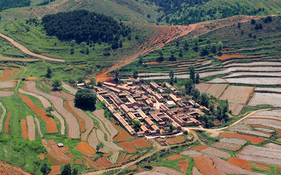 山西推出 “跟着悟空游山西” 古树旅游线路 山西推出 “跟着悟空游山西” 古树旅游线路