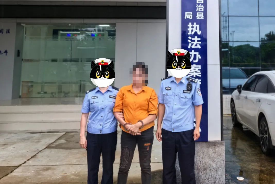 海南警方:吴某珍(女),已被采取刑事强制措施! 海南警方:吴某珍(女),已被采取刑事强制措施!