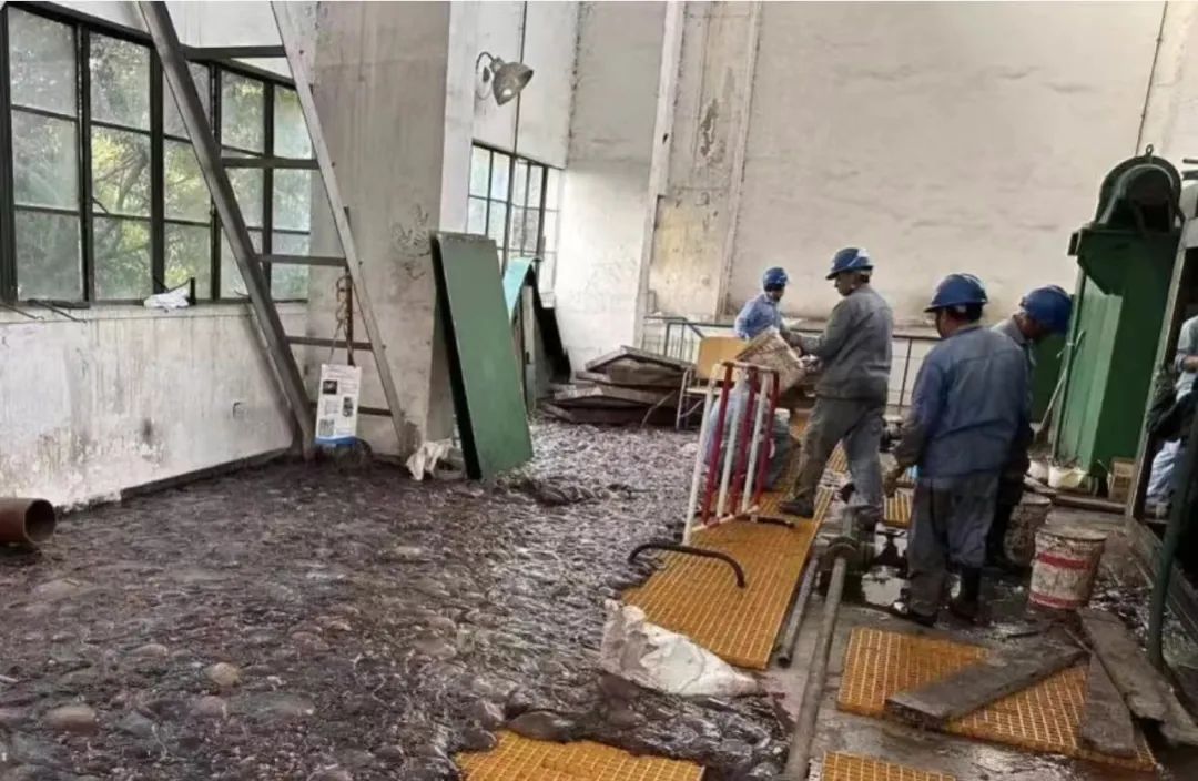 海蜇大规模“入侵”？上海石化回应：9天“抓了”103吨