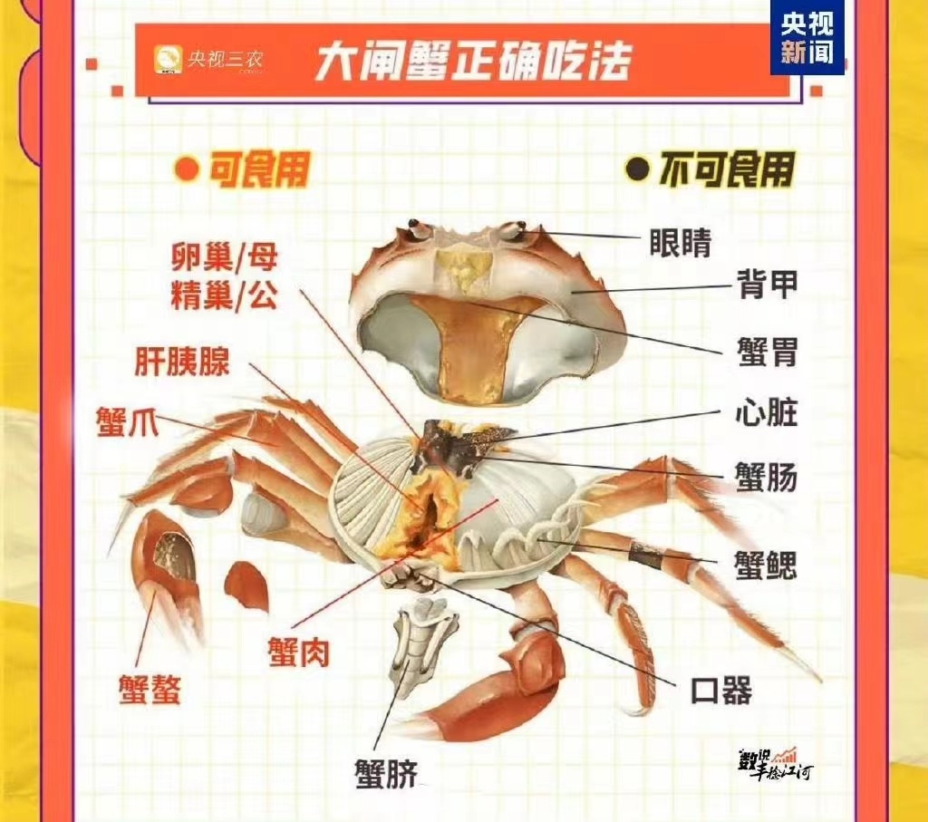 连吃7只，男子被送进ICU！杭州正大量上市，医生：再鲜也别多吃