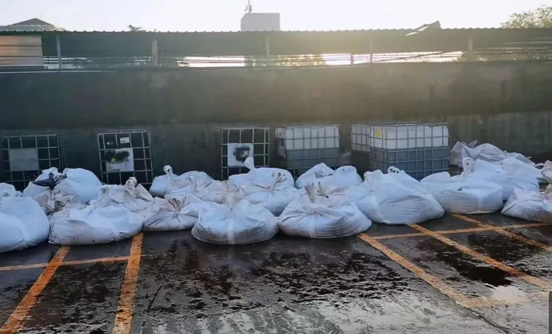 海蜇大规模“入侵”？上海石化回应：9天“抓了”103吨