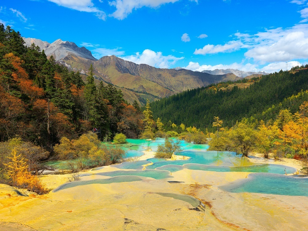 假期出游去哪玩？国家林草局、文旅部给您支招