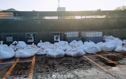上海石化回应大量海蜇入侵：入侵数量已变少，已有对策