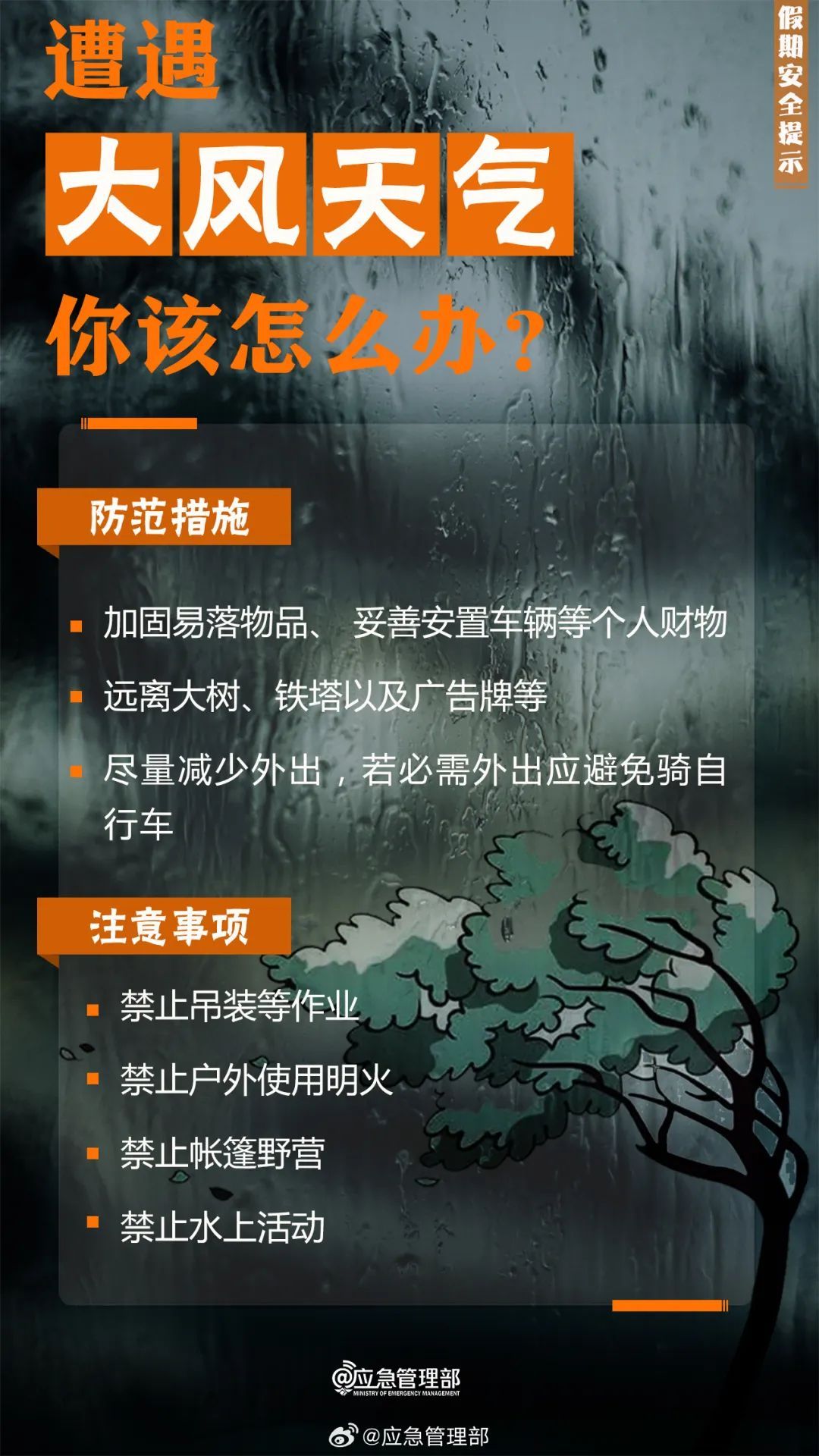 阵风7级!最低12℃!南京接下来...... 阵风7级!最低12℃!南京接下来......