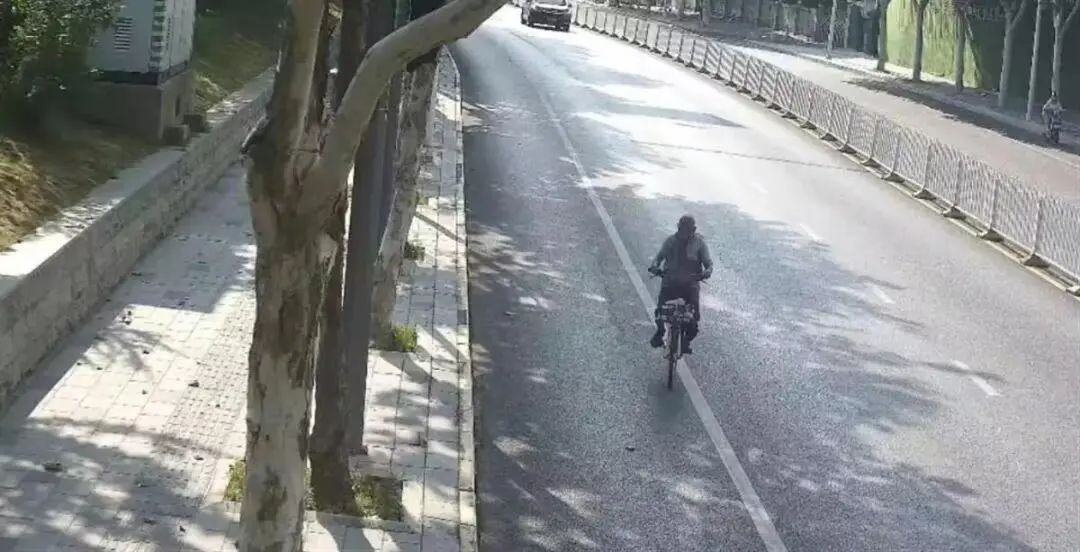 “终生难忘，有机会再来武汉”，“看桥爷爷”圆梦了！