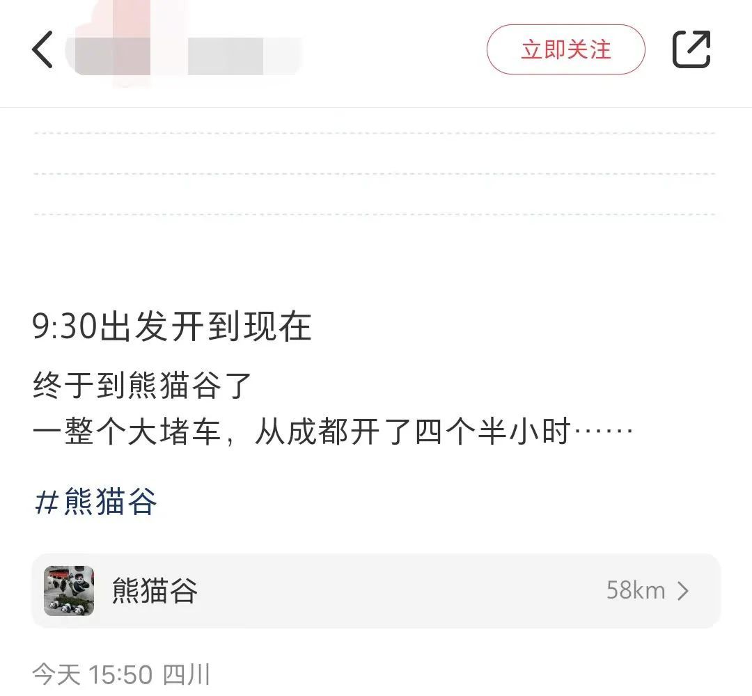 约满！售罄！有的人早上出发下午才到熊猫谷，你到达目的地了吗？