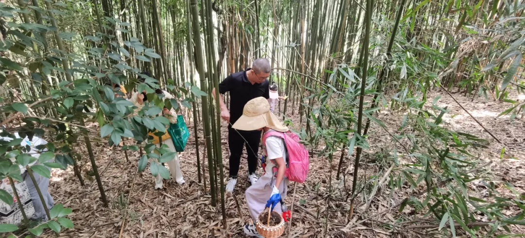 突然爆火!这两天不少杭州人来这里“寻宝”,“在脚边都看不见!”但这件事千万注意… 突然爆火!这两天不少杭州人来这里“寻宝”,“在脚边都看不见!”但这件事千万注意…