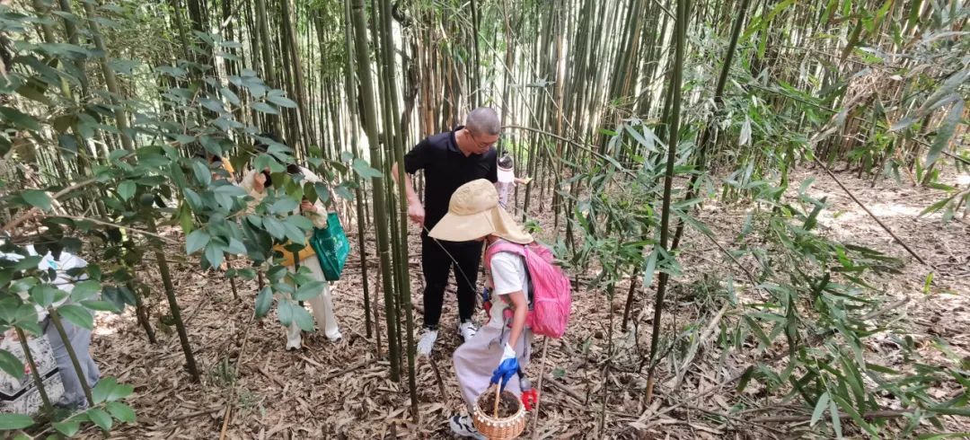 突然爆火！很多人来杭州这里“寻宝”，上海、嘉兴也有人专程赶来！这件事千万注意…
