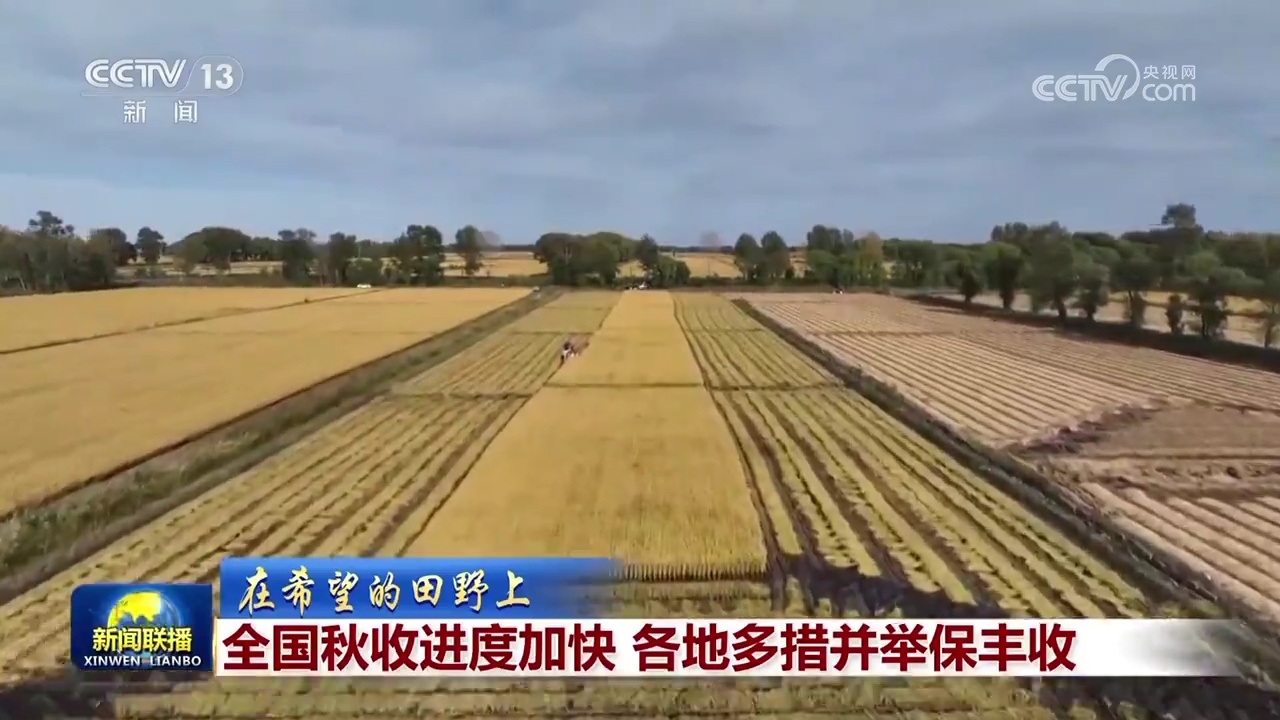 【在希望的田野上】全国秋收进度加快 各地多措并举保丰收
