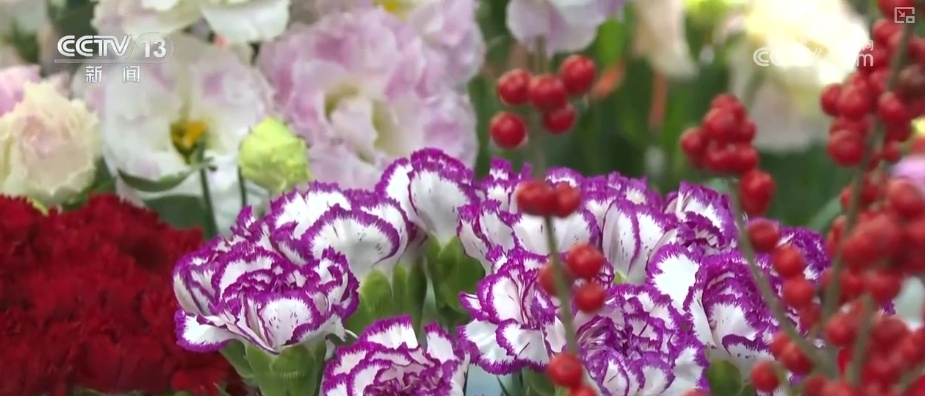 活力中国，生活有芬芳！假期“花”样百出 花海人海热闹非凡