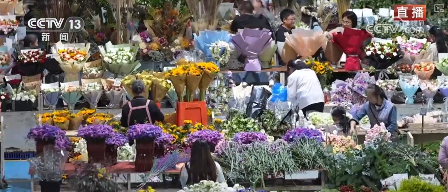 活力中国，生活有芬芳！假期“花”样百出 花海人海热闹非凡