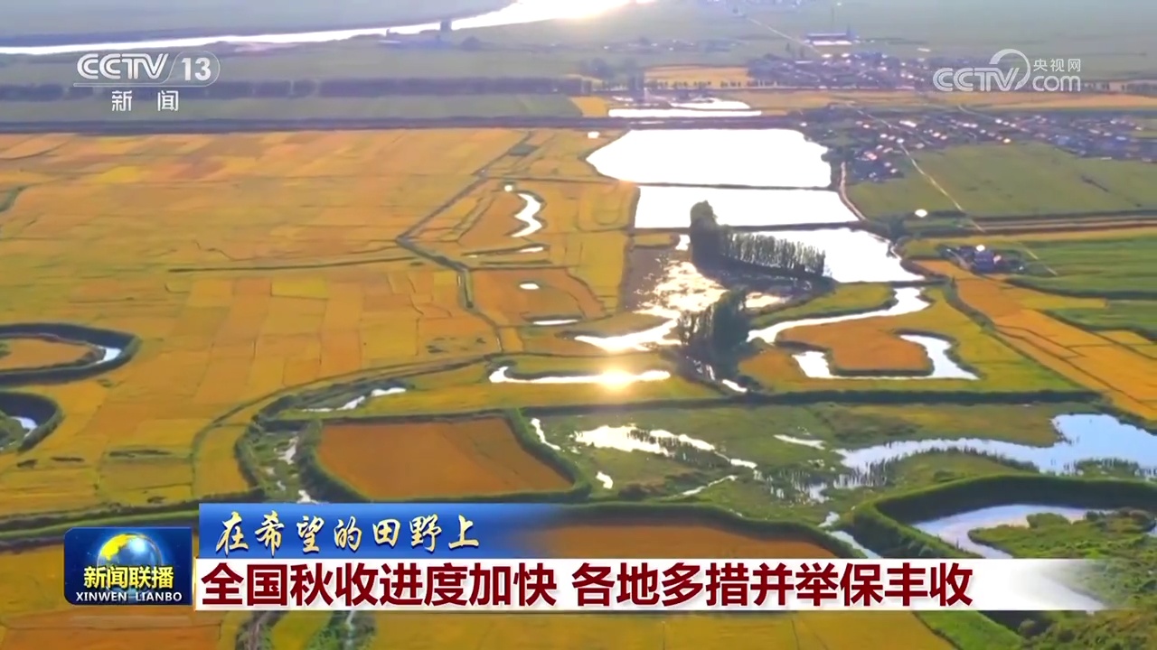 【在希望的田野上】全国秋收进度加快 各地多措并举保丰收