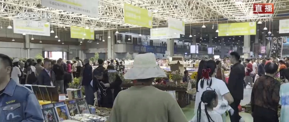 活力中国，生活有芬芳！假期“花”样百出 花海人海热闹非凡