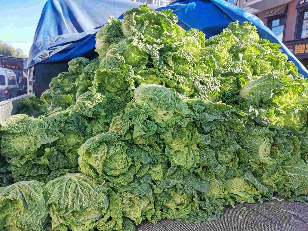 正大量上市，哈尔滨人秋天必买！但今年的价格…