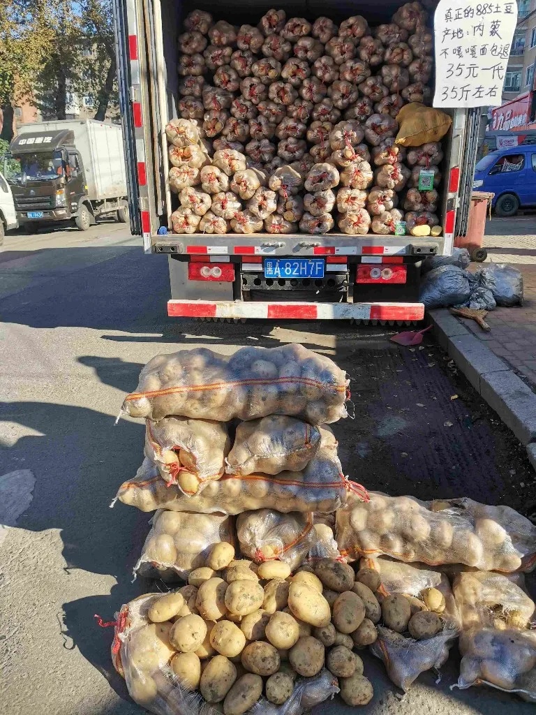 正大量上市，哈尔滨人秋天必买！但今年的价格…