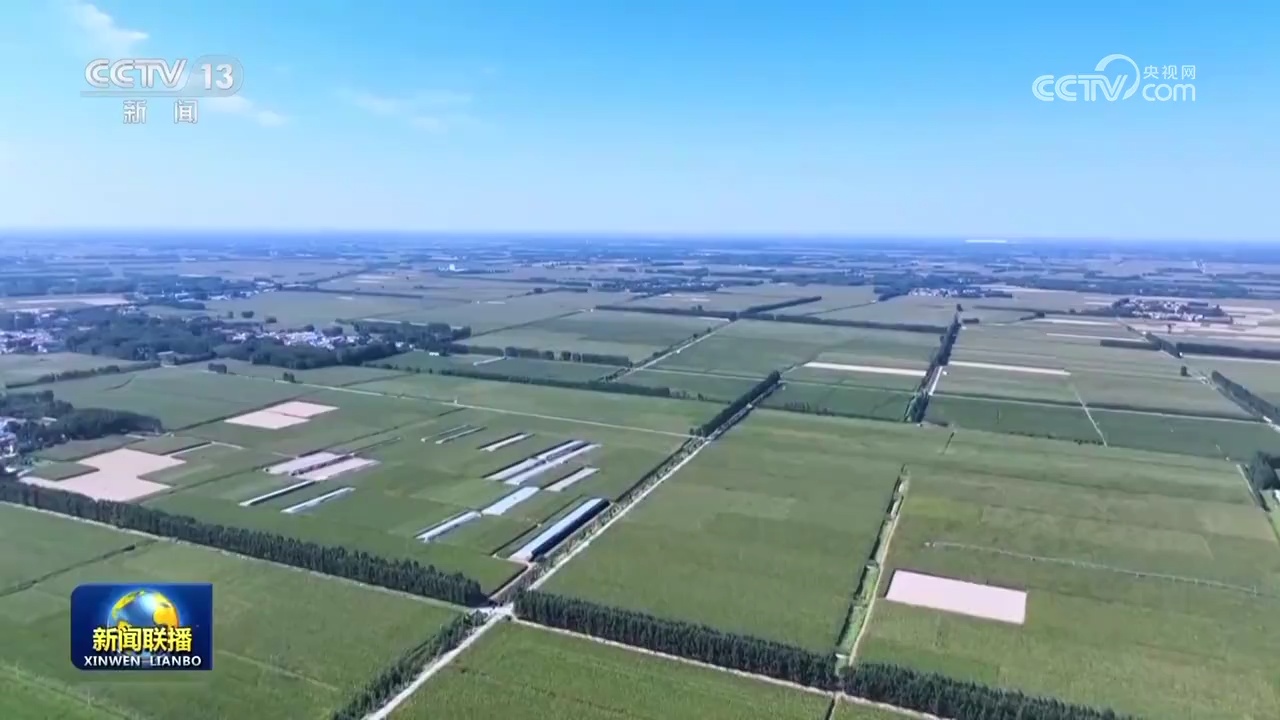 【在希望的田野上】全国秋收进度加快 各地多措并举保丰收