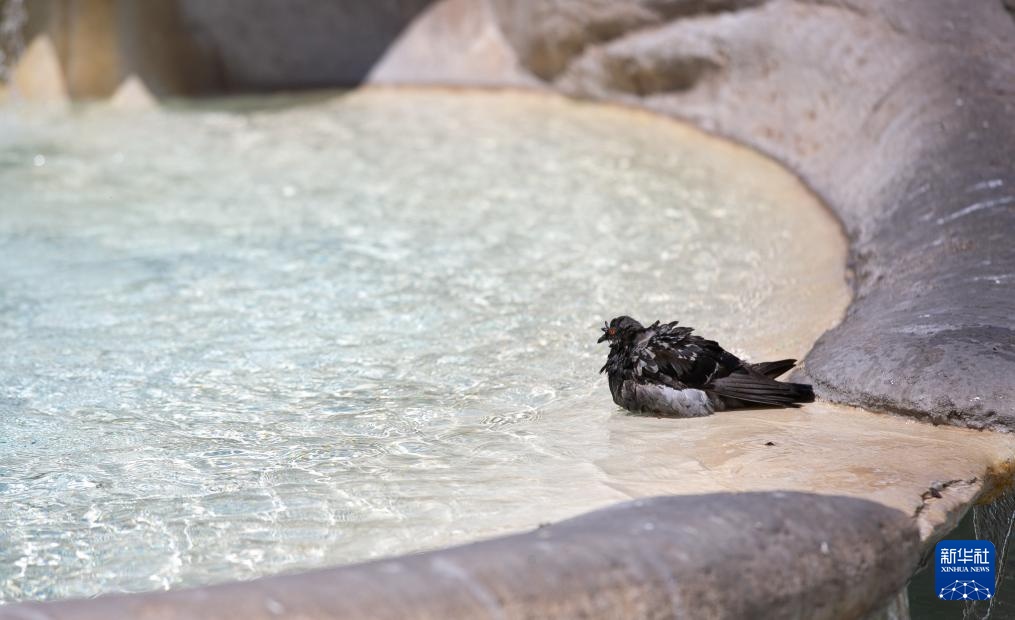 横跨亚欧大陆的对望:济南、罗马,“两泉齐美” 横跨亚欧大陆的对望:济南、罗马,“两泉齐美”
