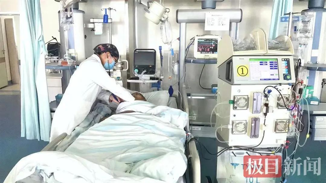  太可怕！遇到千万别碰！又有人被蜇伤后住进ICU