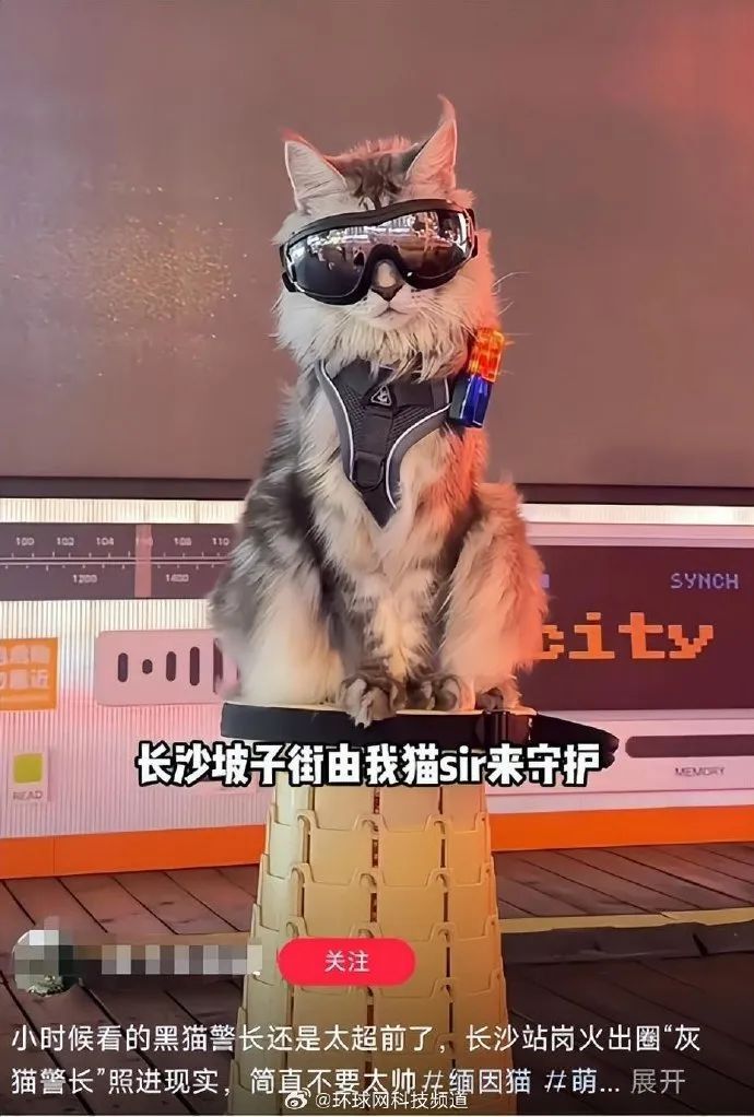 一觉醒来,长沙又上热搜啦! 一觉醒来,长沙又上热搜啦!