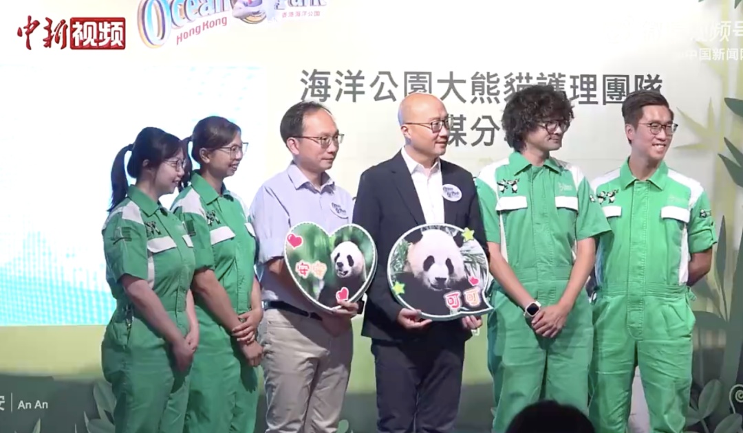 跟大熊猫说粤语还是普通话?香港海洋公园回应 跟大熊猫说粤语还是普通话?香港海洋公园回应