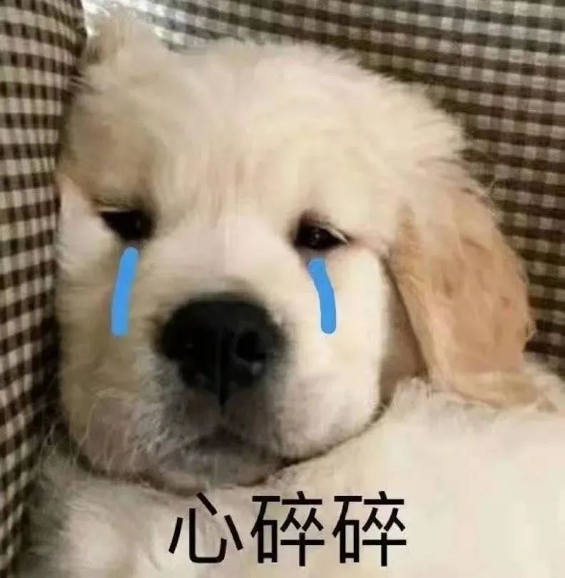 注意：上海天气即将又变！雨水已在路上，返程请多加留意→