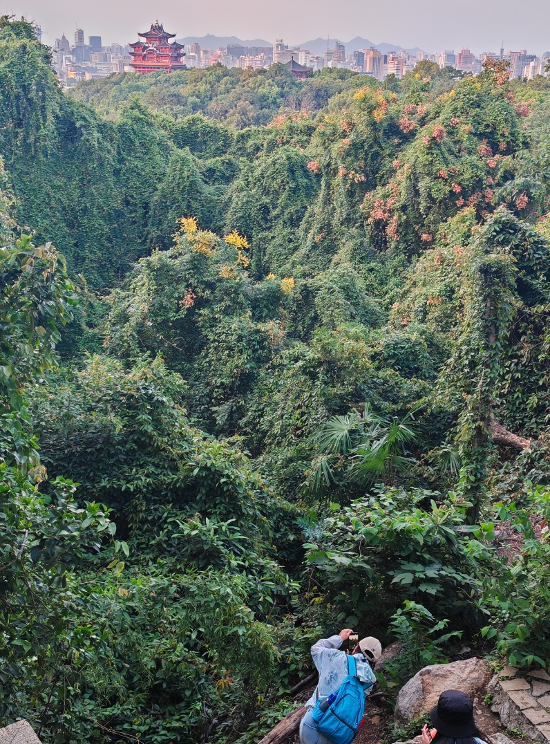 刚刚确认！全面影响杭州，今晚大反转！出门要小心...