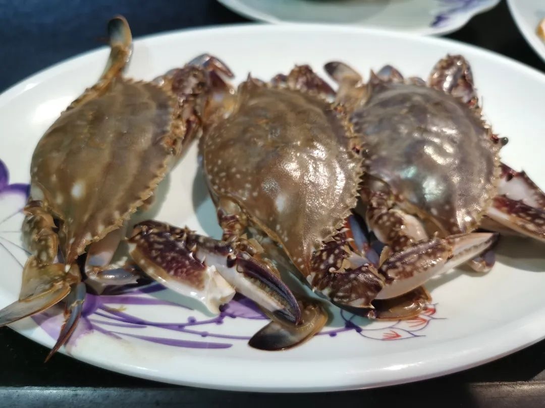 浙江吃蟹地图来了，这个假期让你吃过瘾～