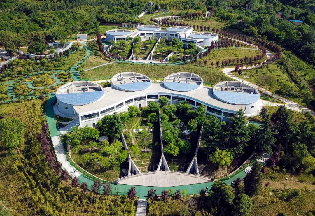 七仔归来！秦岭四宝科学公园重新开园
