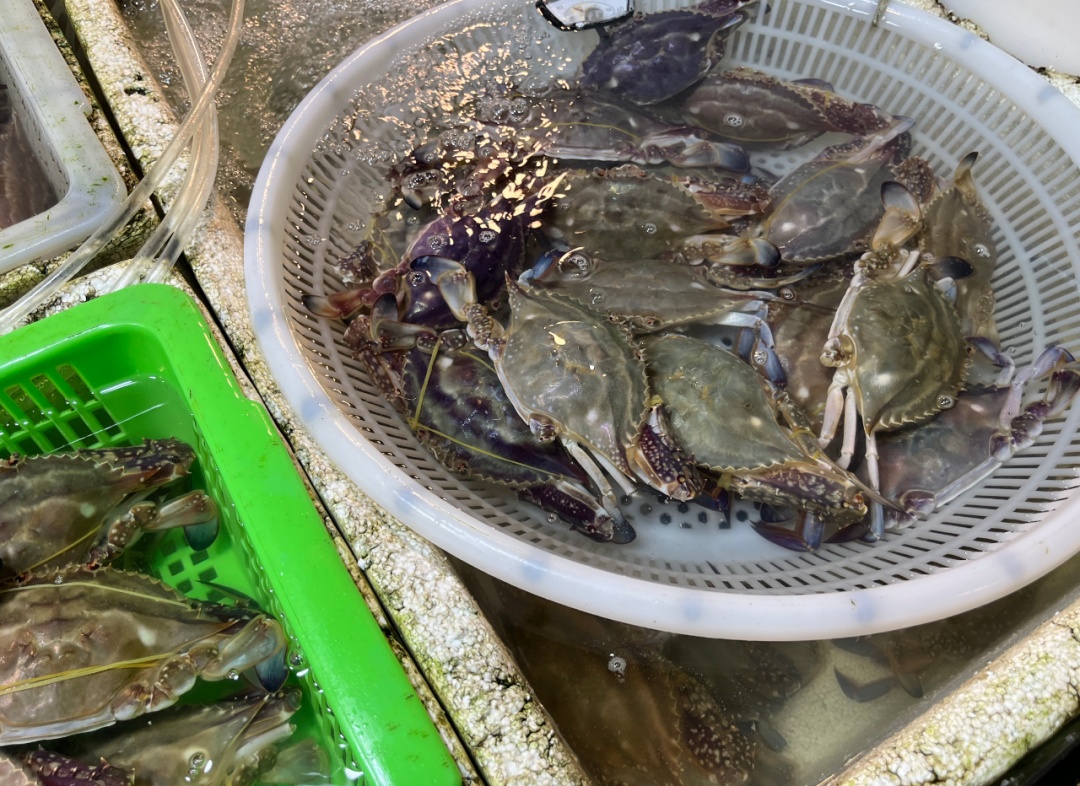 大跌！每公斤降了120元！霸占浙江人餐桌的这口美味，正大量上市