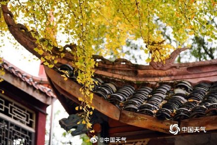 用几何美学打开中国