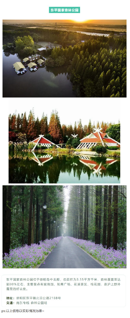 金秋十月，沪上露营地交通攻略请查收→