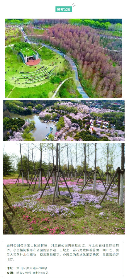 金秋十月，沪上露营地交通攻略请查收→