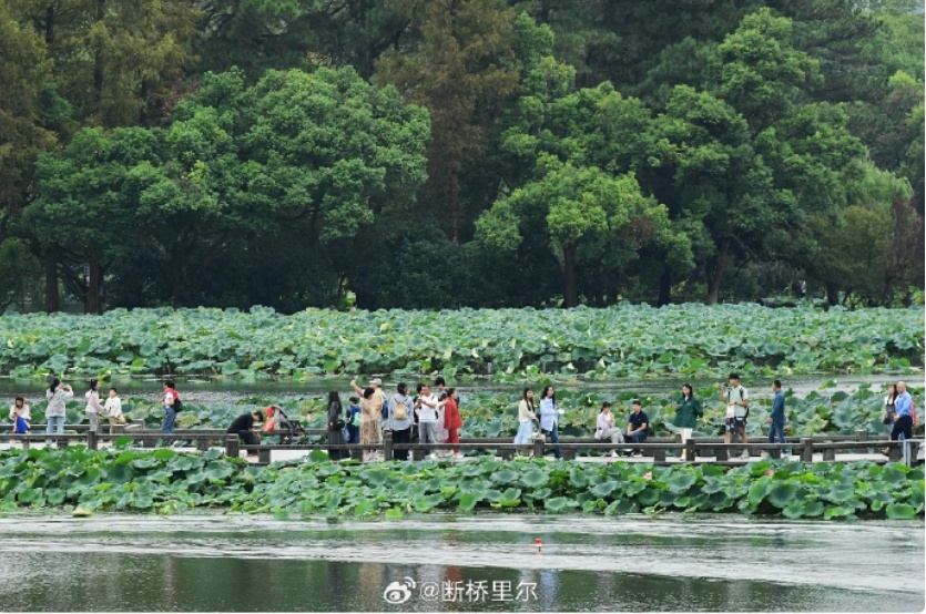 刚刚确认！全面影响杭州，今晚大反转！出门要小心...