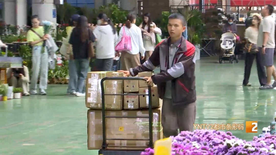 火出圈了！鲜花饼、鲜花、咖啡、茶……你到底爱哪种？