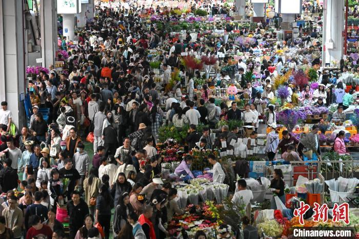 昆明斗南花市国庆假期人气旺