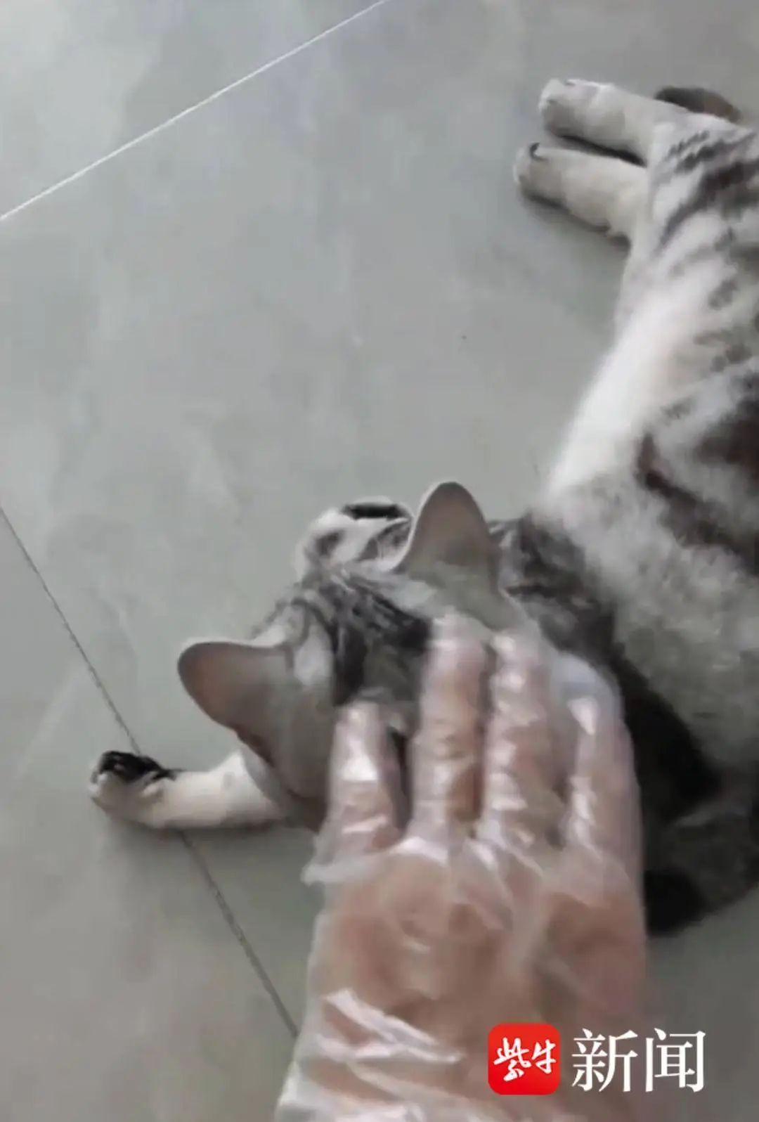 南京小伙国庆假期上门数十家，原来是为了…