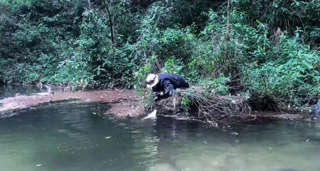 云南哀牢山突然走红，景区紧急提示
